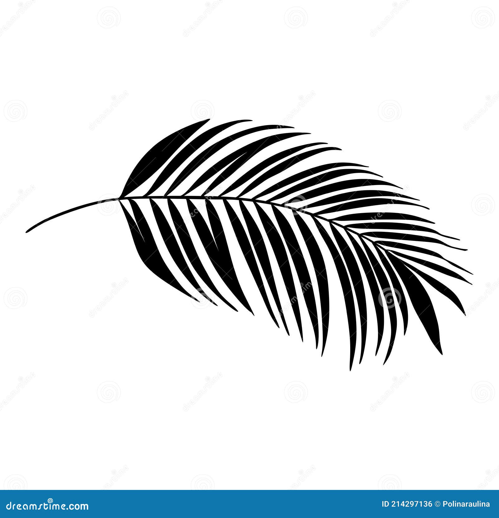 palm leaf black  silhouette.