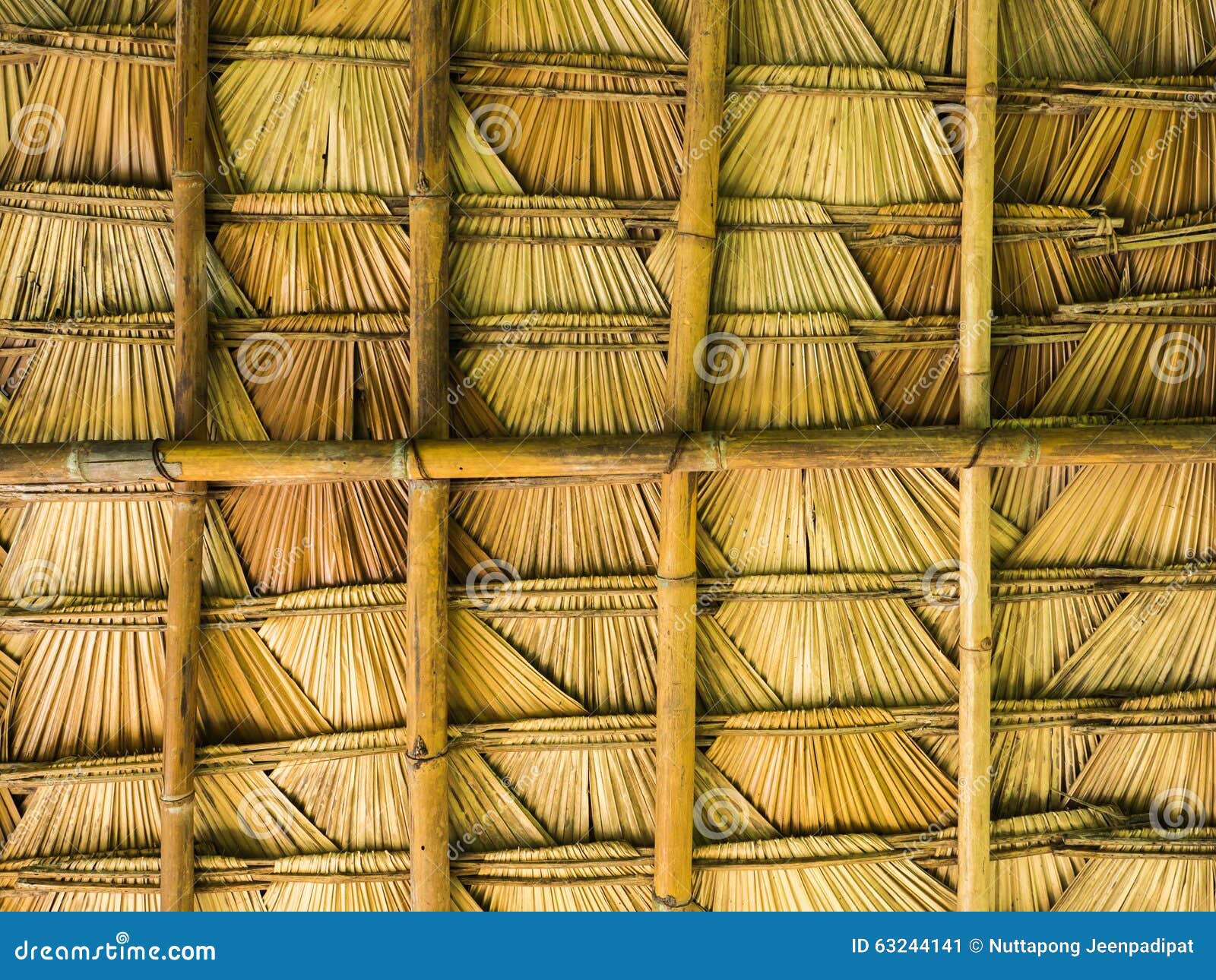 Palm leaf roof stock image. Image of intellect, urban 63244141
