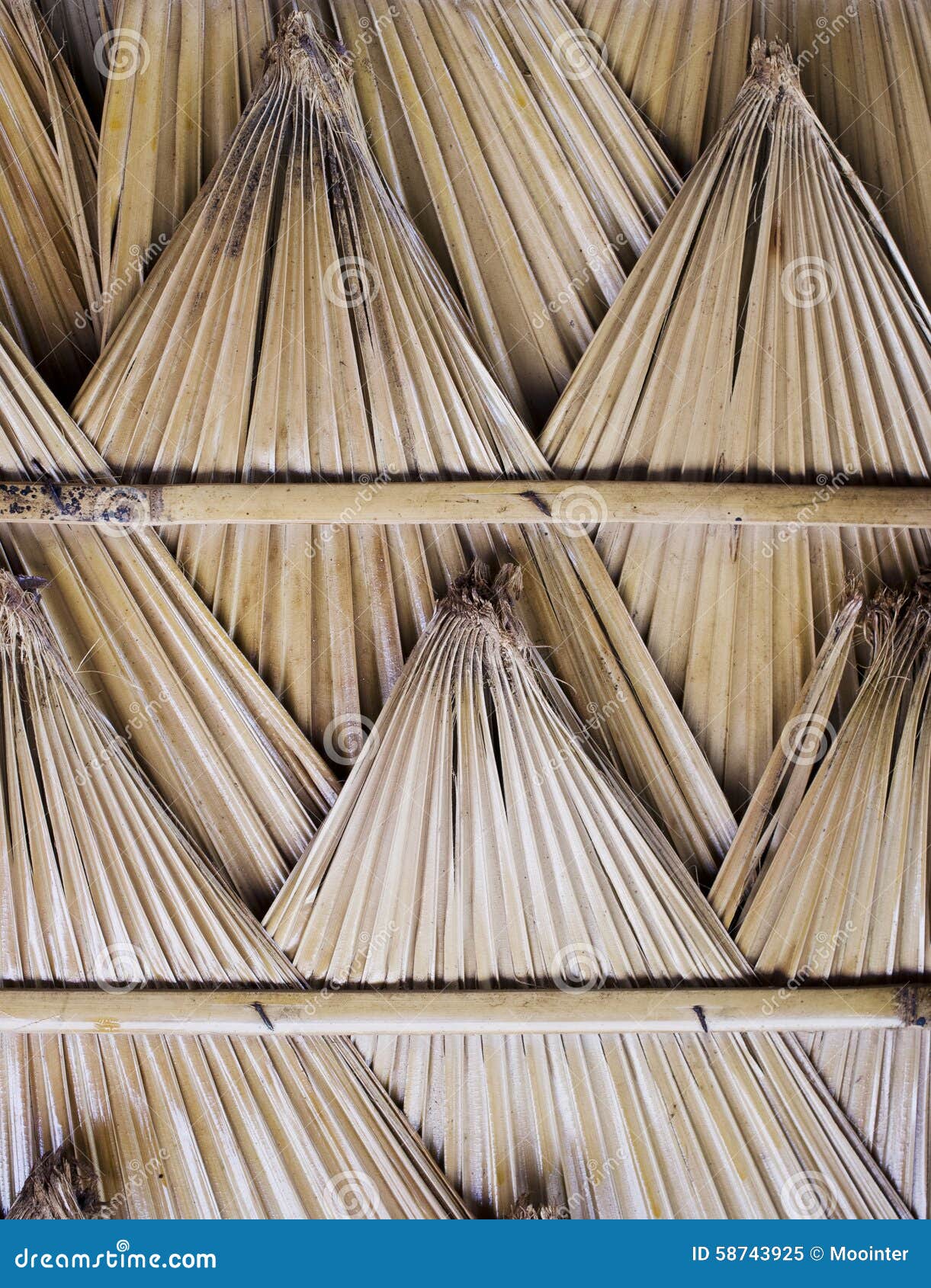 Palm leaf roof. stock image. Image of nature, primitive 58743925