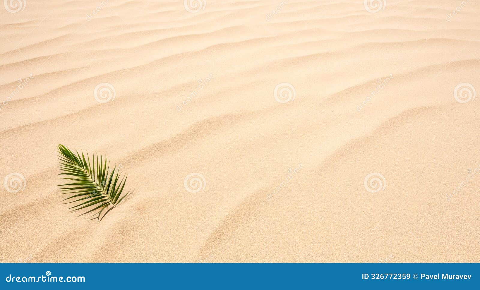 palm leaf shadow cast on smooth beach sand, minimalist tropical nature detail, summer vacation concept background