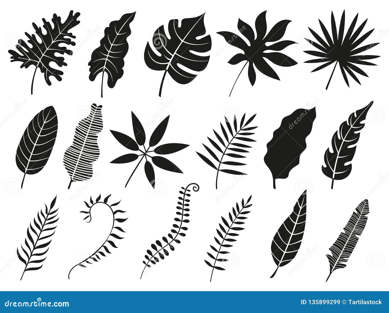 palm leaf silhouette. monstera frond, plant leaves silhouettes and tropical palms fronds   icons set