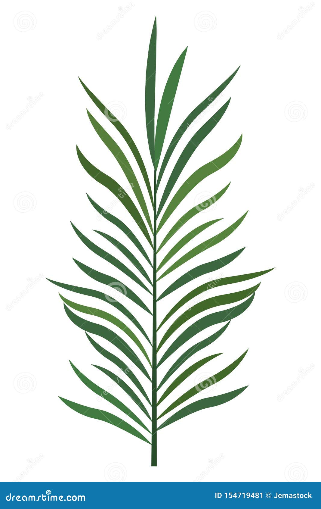 Palm Leaf Tropical Nature Cartoon Stock Vector - Illustration of monstera,  flora: 154719481