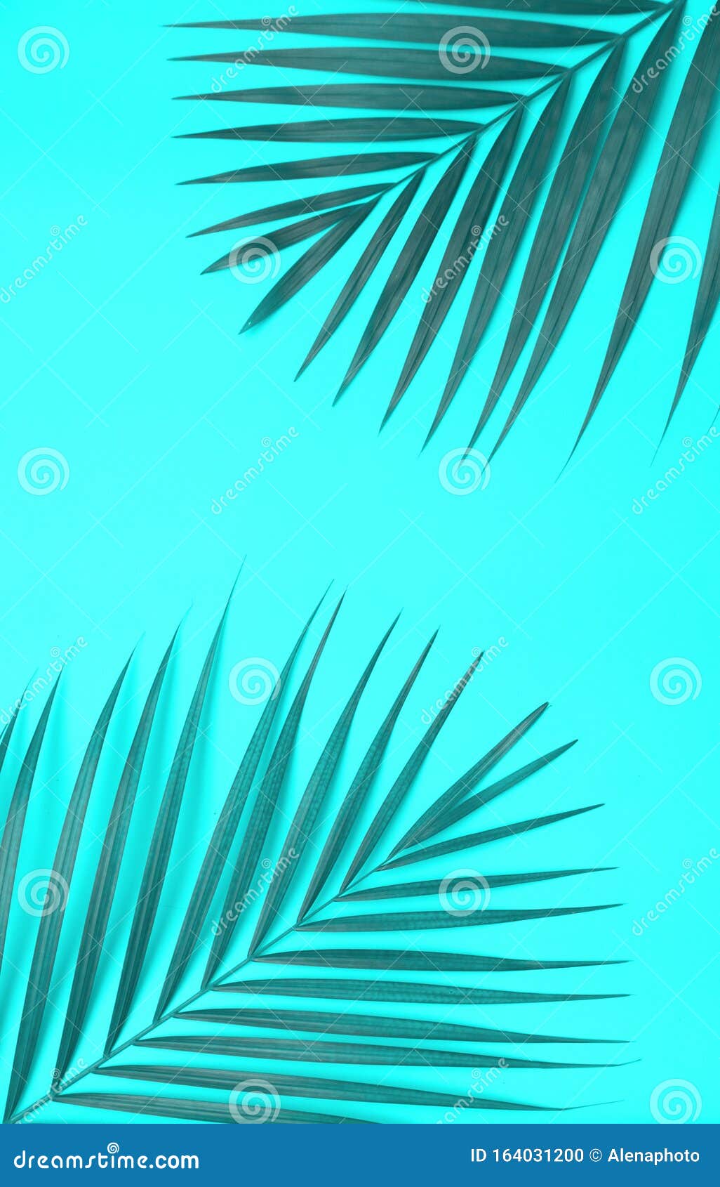 Palm Leaves on Blue Background Stock Photo - Image of abstract, pattern