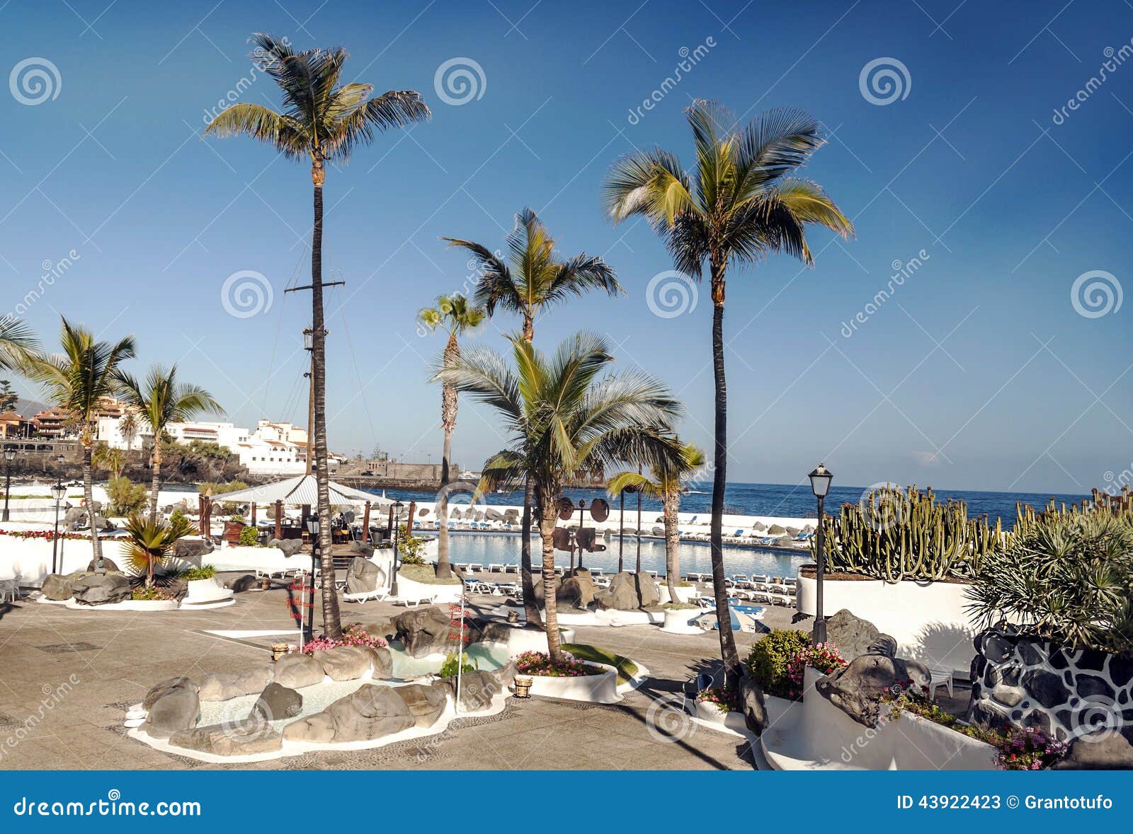 palm-lined promenade