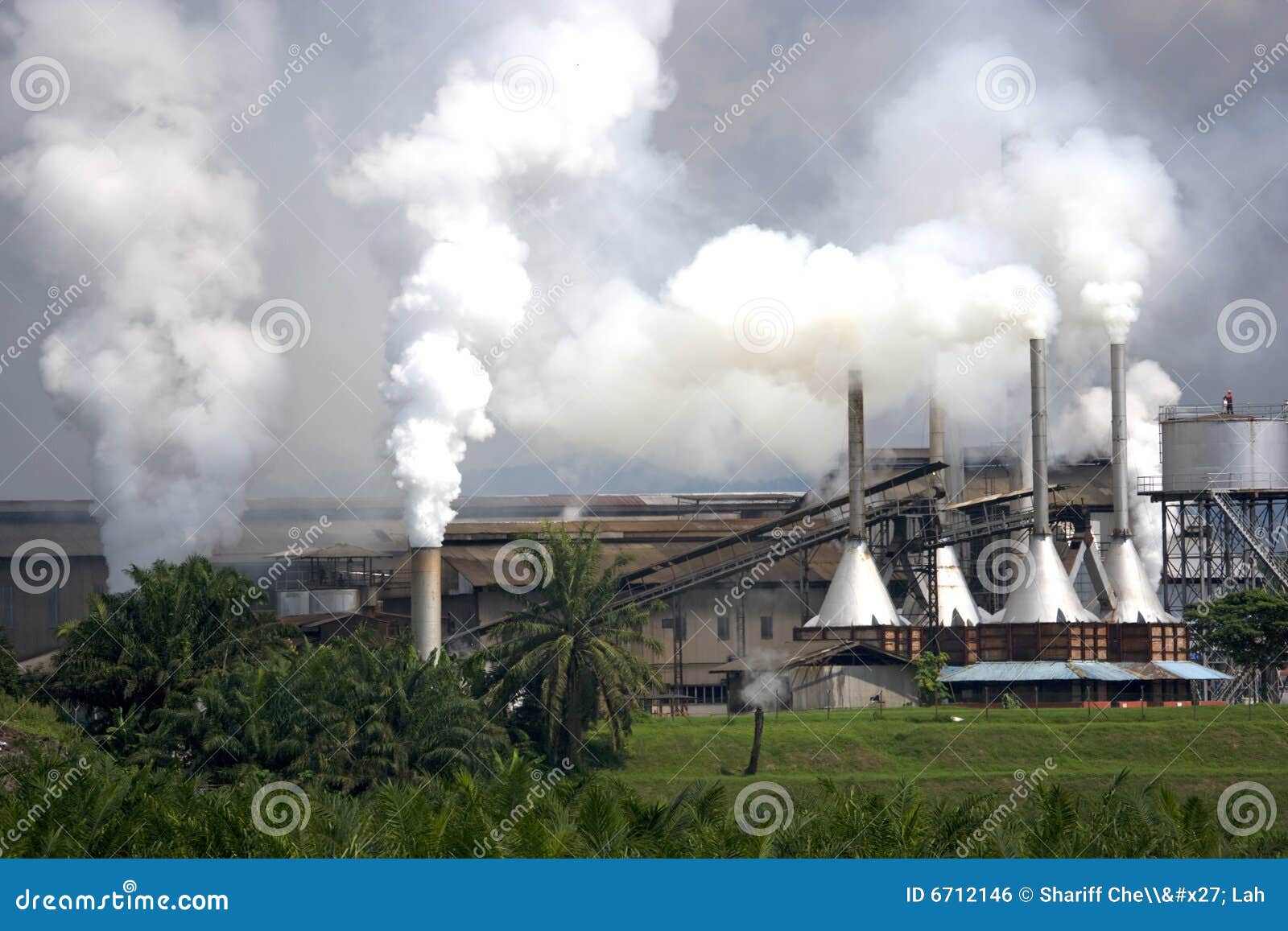 Palm Oil Factory stock photo. Image of palms, emission 6712146