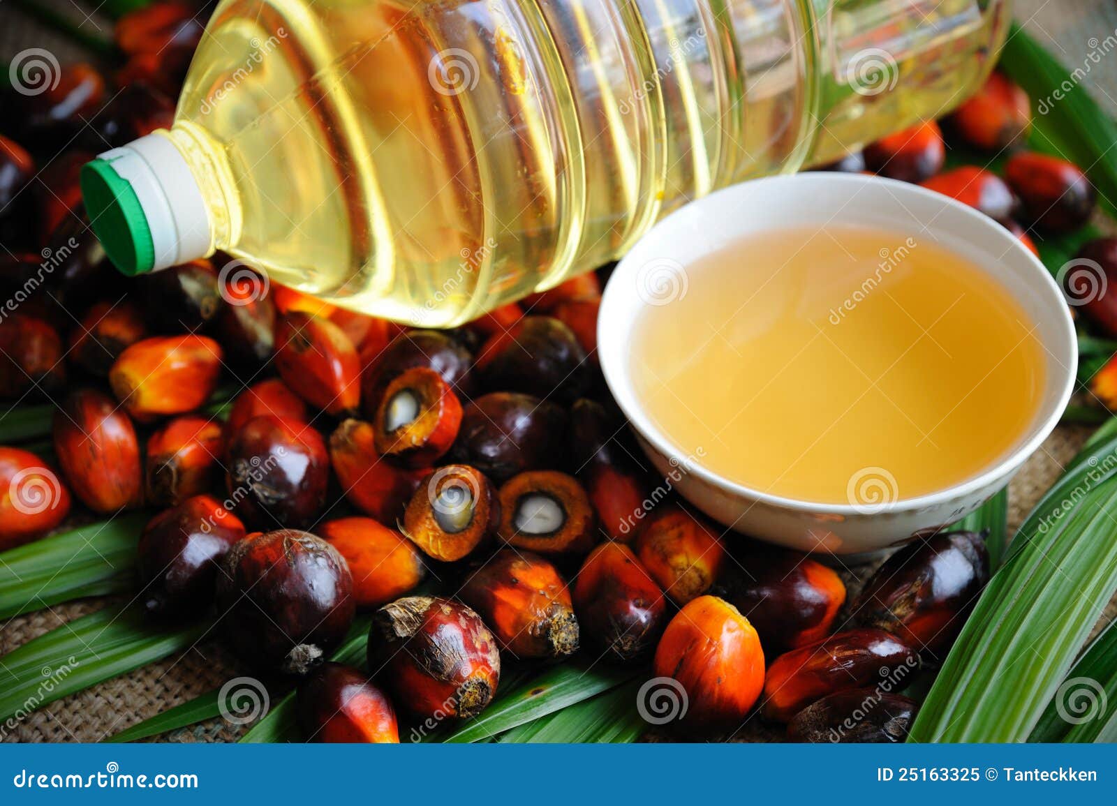 Palm Oil fruits stock image. Image of tropical, green 25163325