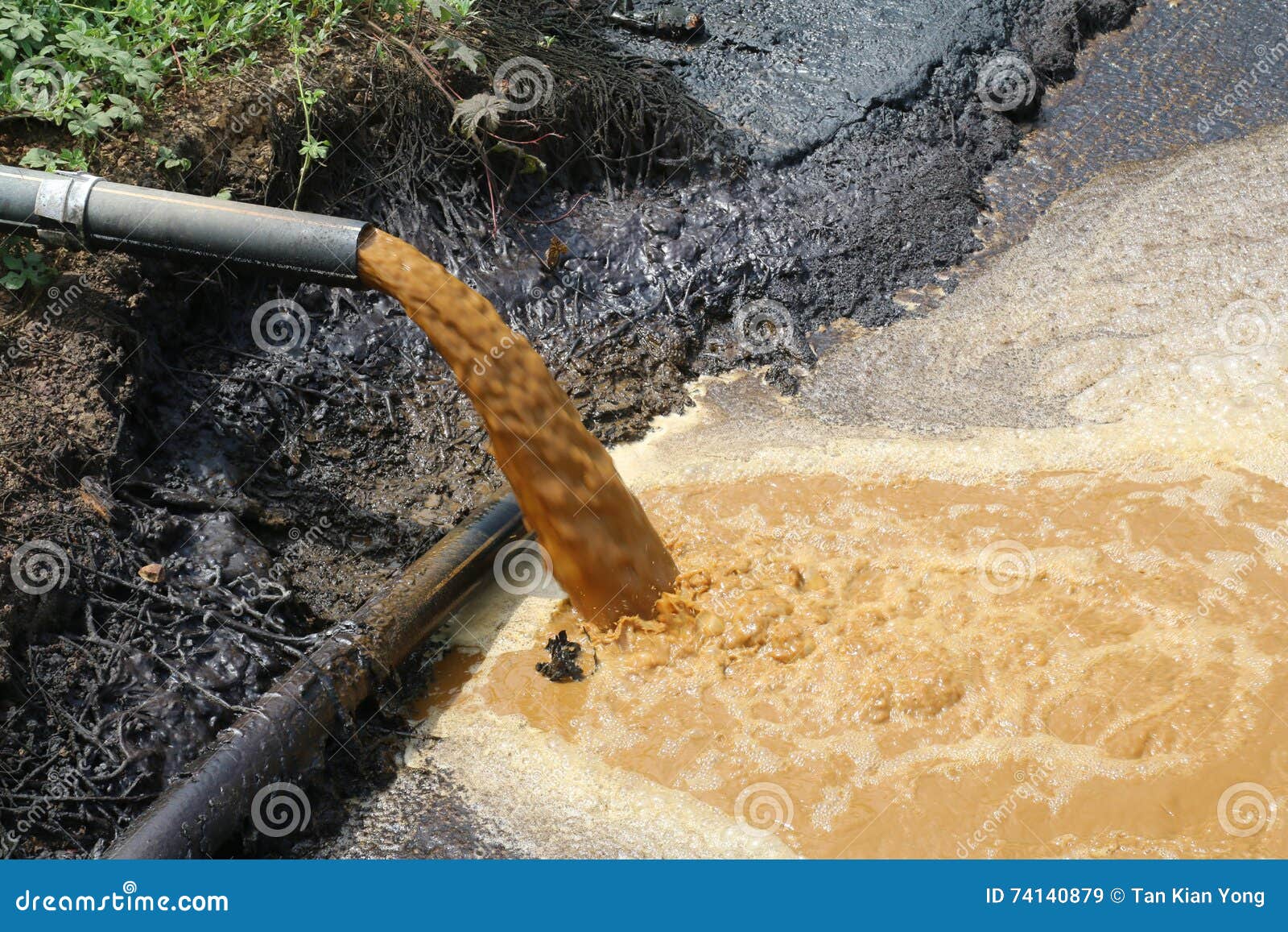 Palm Oil Mill Effluent (POME) Wastewater Being Discharged - Series 4 ...