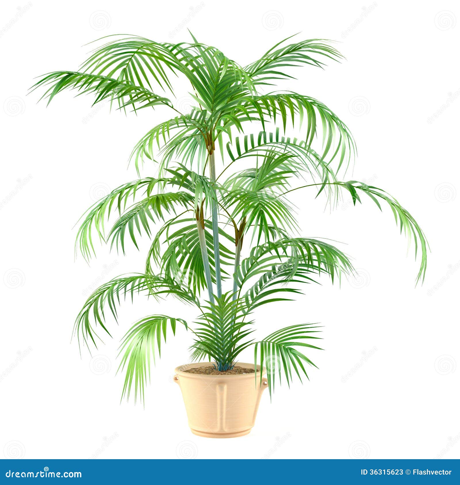 Palm plant in the pot stock illustration. Illustration of house - 36315623