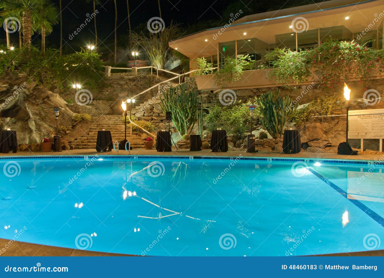 Dating palm springs