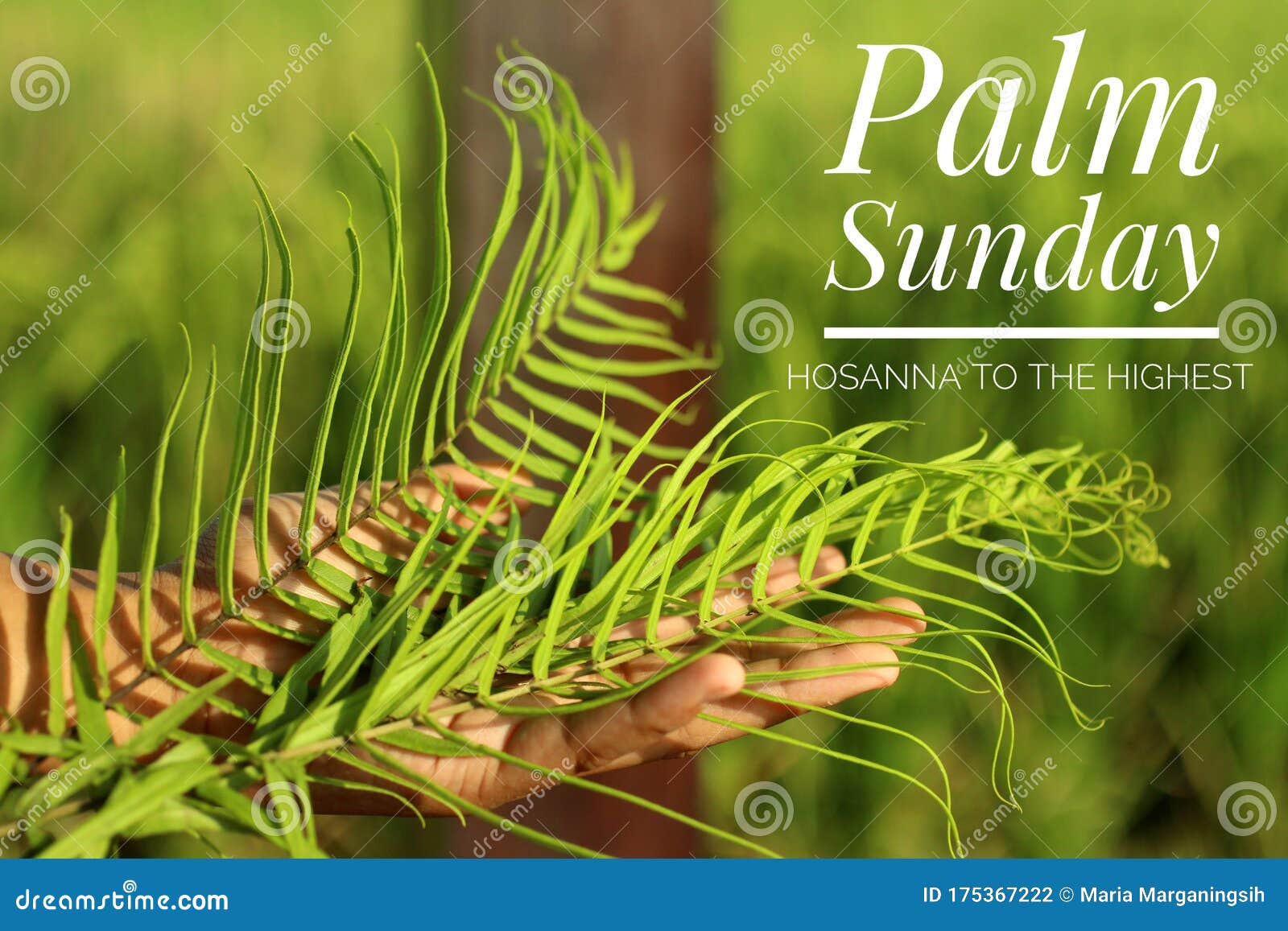 palm sunday concept with christian inspiration quote - hosanna to the highest. with fern or palm leaf in hand.