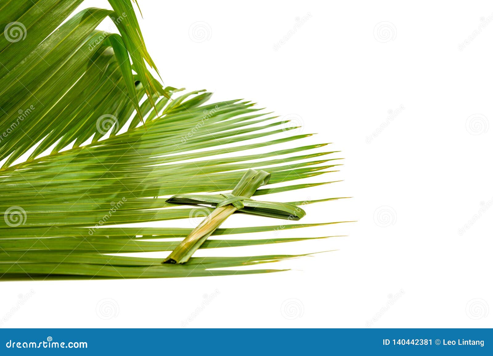 Palm Sunday Concept Stock Image Image Of Believe Bright 140442381
