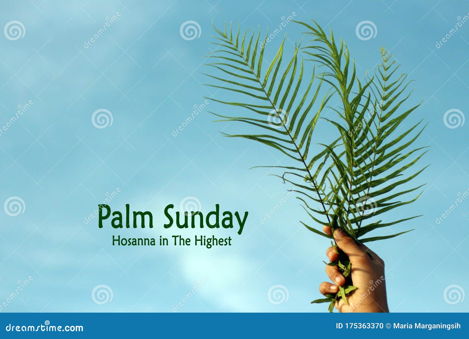 palm sunday quote -hosanna to the highest. with fern or palm leaf in hand against bright and clear blue sky background.