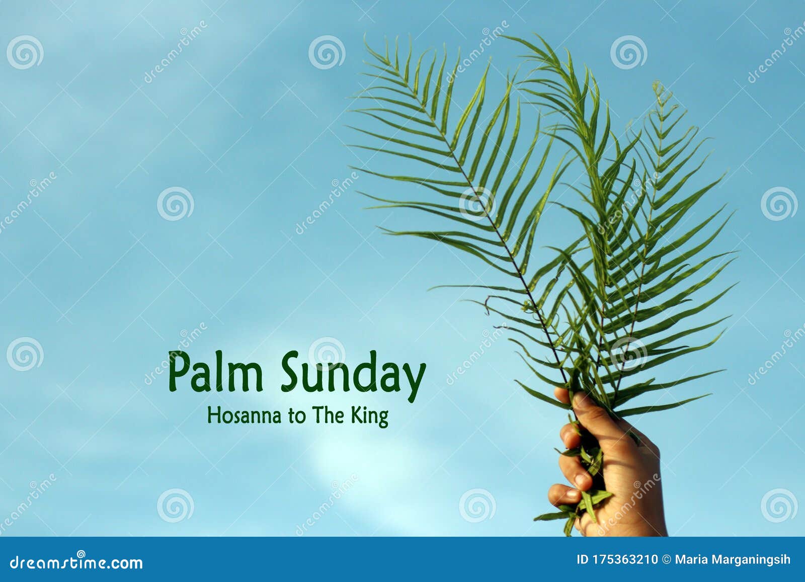 Palm Sunday Quote - Happy Palm Sunday. Fern or Palm Leaf in Hand ...