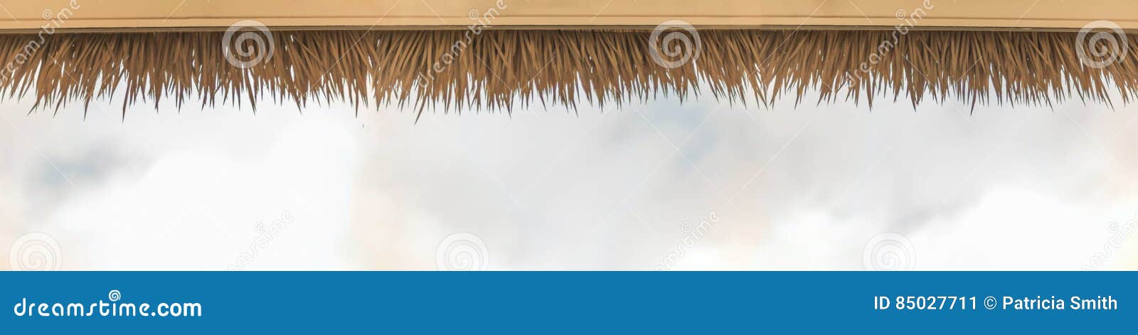 Palm Thatch Roof Stock Image Image Of Islands Cabana