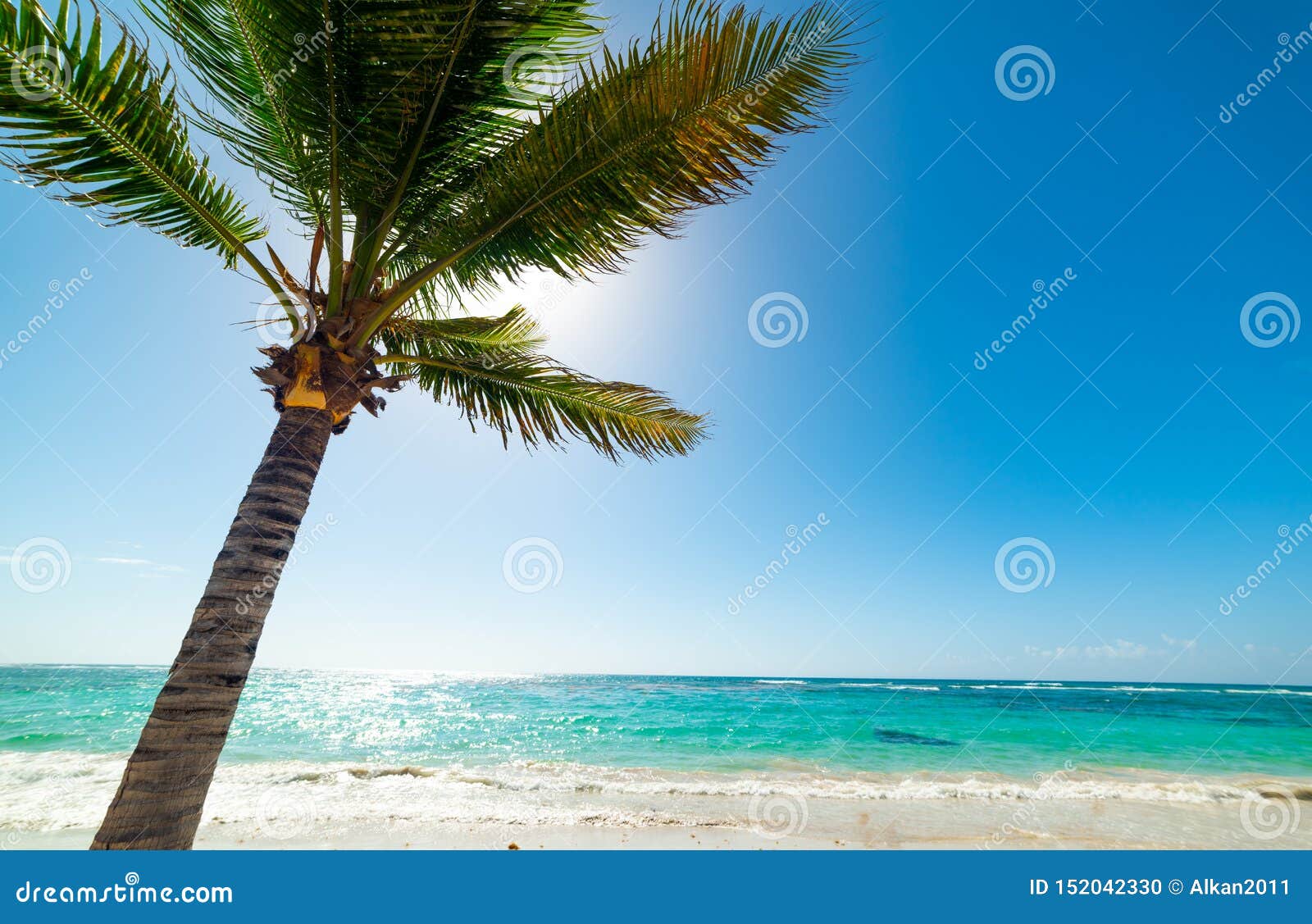 Palm Tree and Blue Sea in Raisins Clairs Beach in Guadeloupe Stock ...