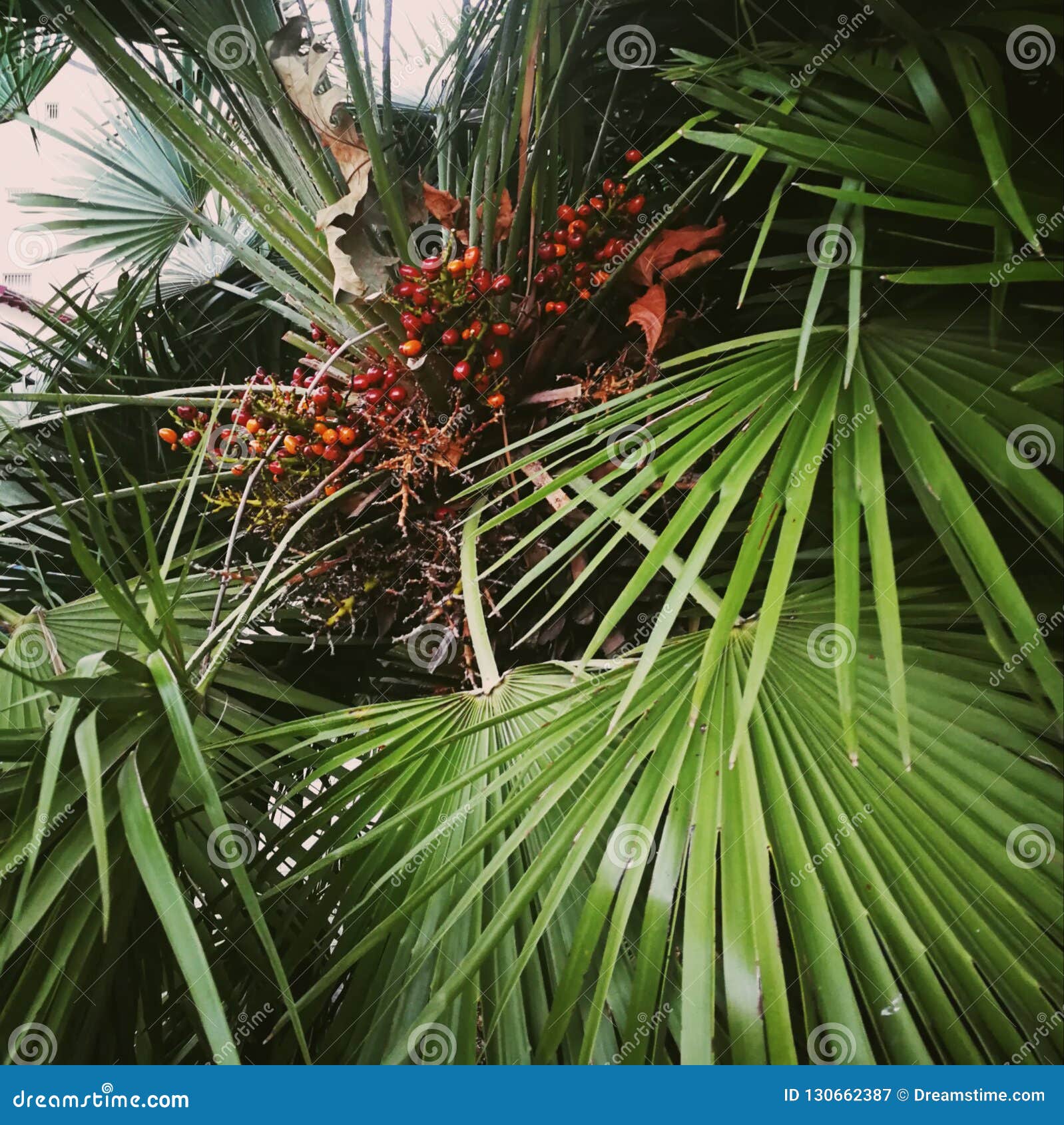My Image 13