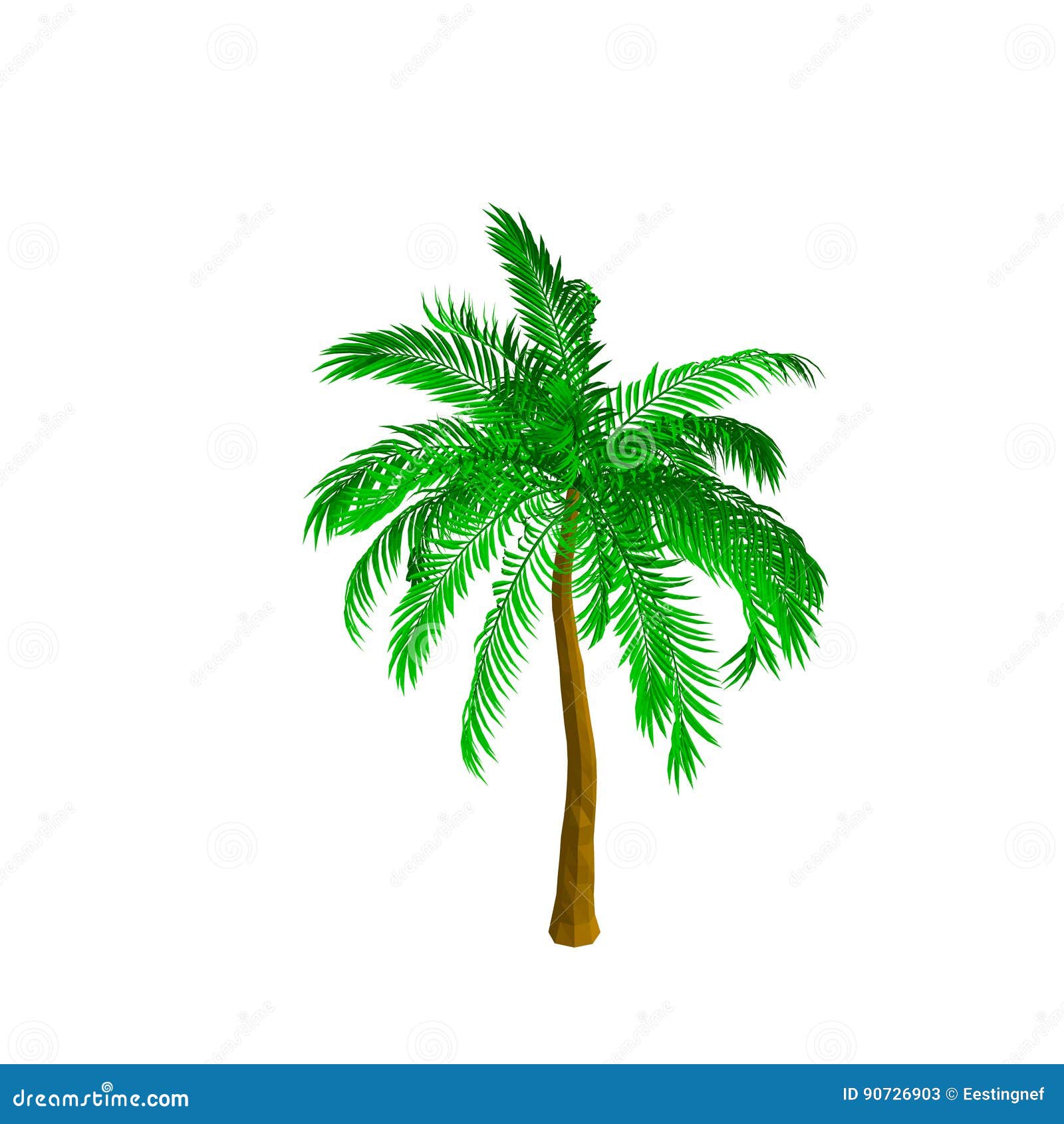 Palm Tree. Isolated on White Background. Isometric View. Stock