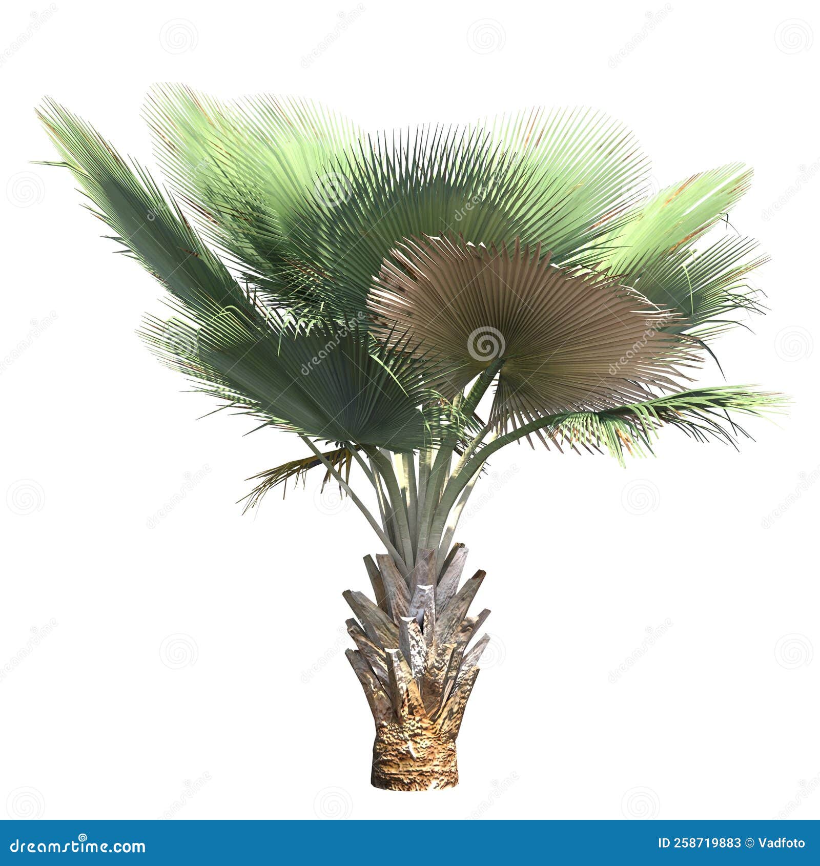 My Image 30