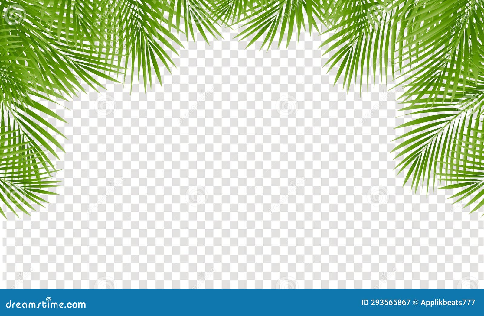 palm tree leaves leaves frame  and transparent background