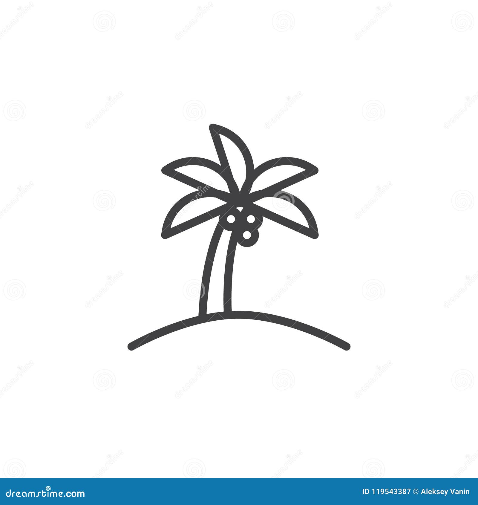 How to Draw a Coconut Palm Tree