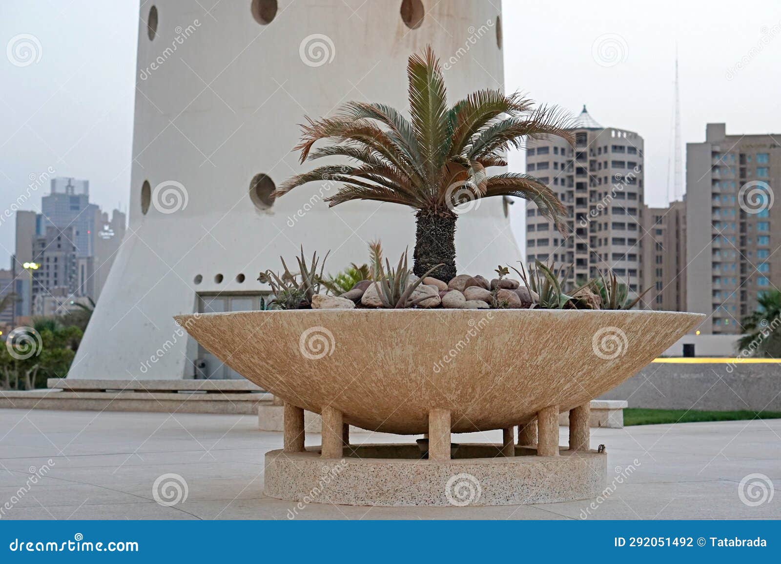 Palm tree pot Kuwait editorial photography. Image of street 292051492