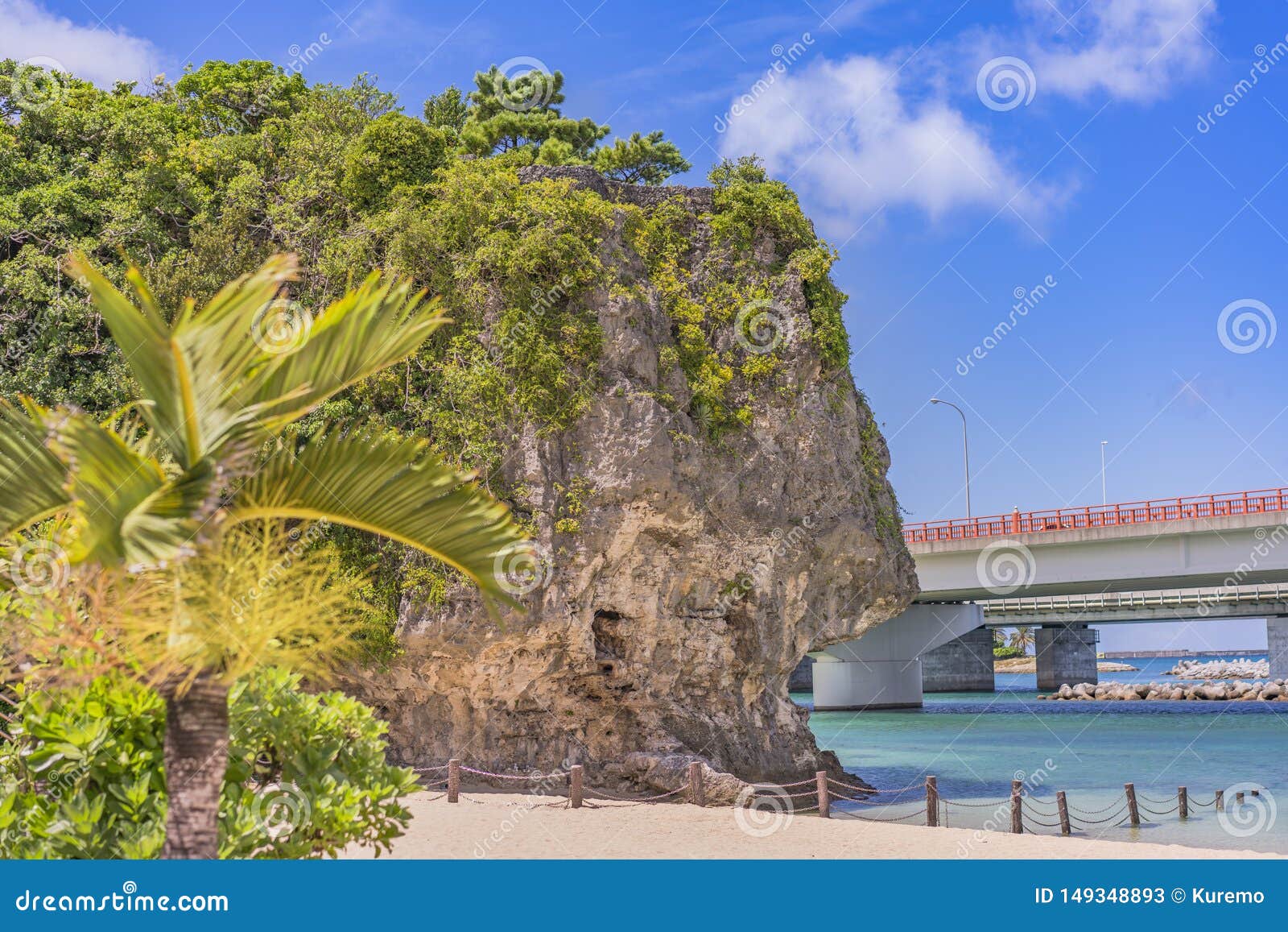 palm tree on the sandy beach naminoue topped by a huge rock with a shinto shrine at the top of a cliff and a highway passing in