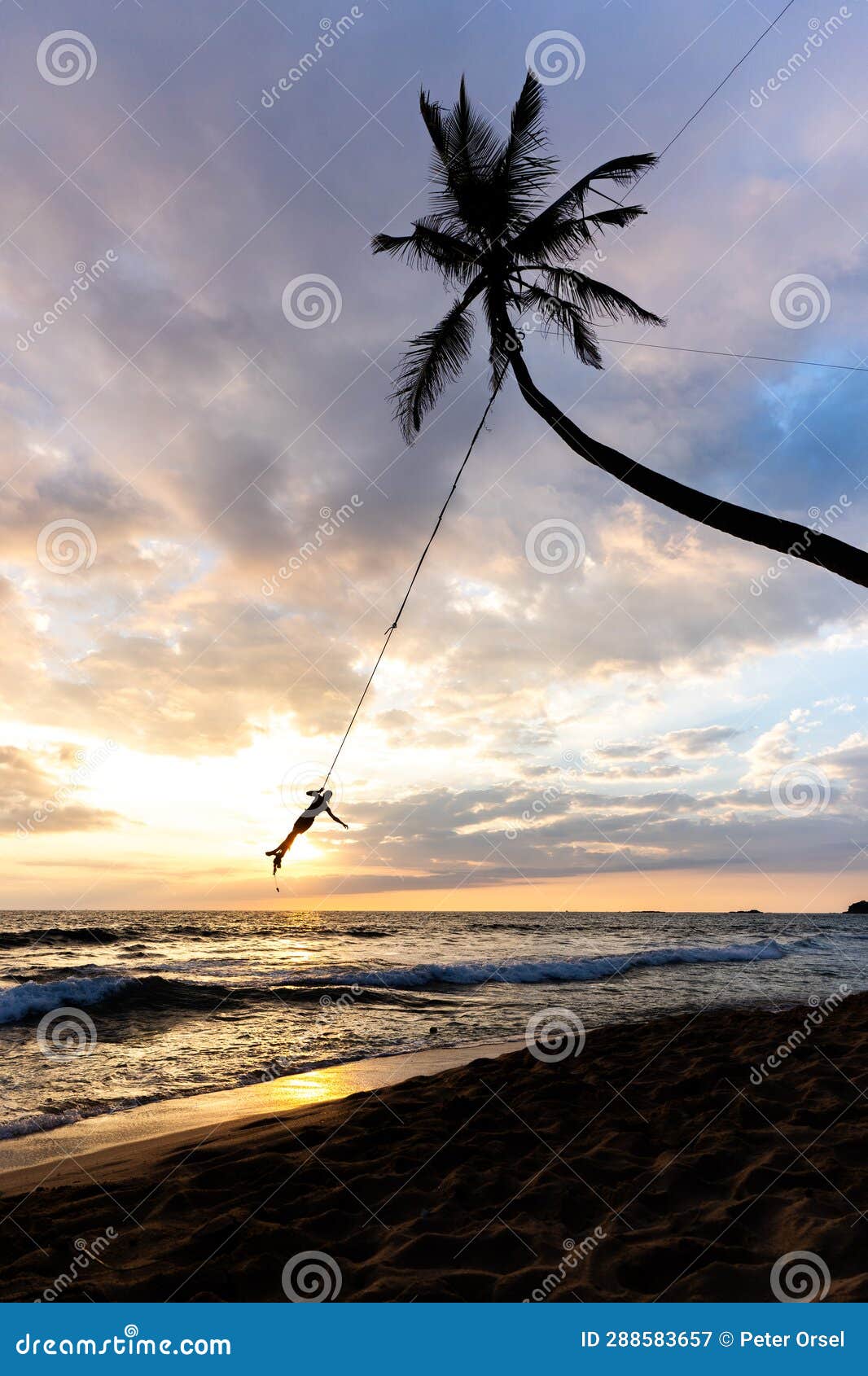 palm tree swing above ocean at dalawella beach, unawatuna, sri lanka,