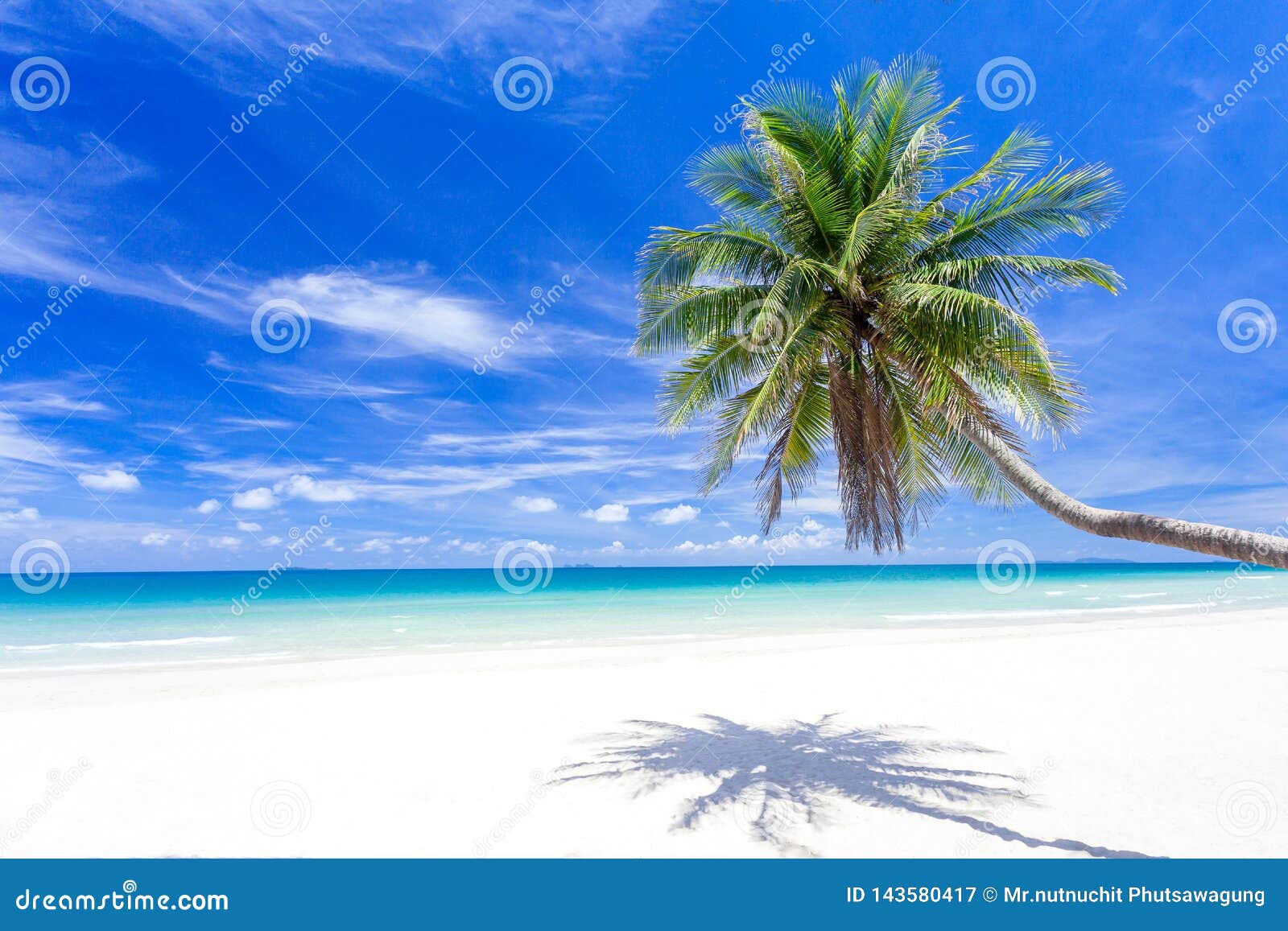 Palm Tree on Tropical Paradise Beach with Turquoise Blue Water and Blue ...