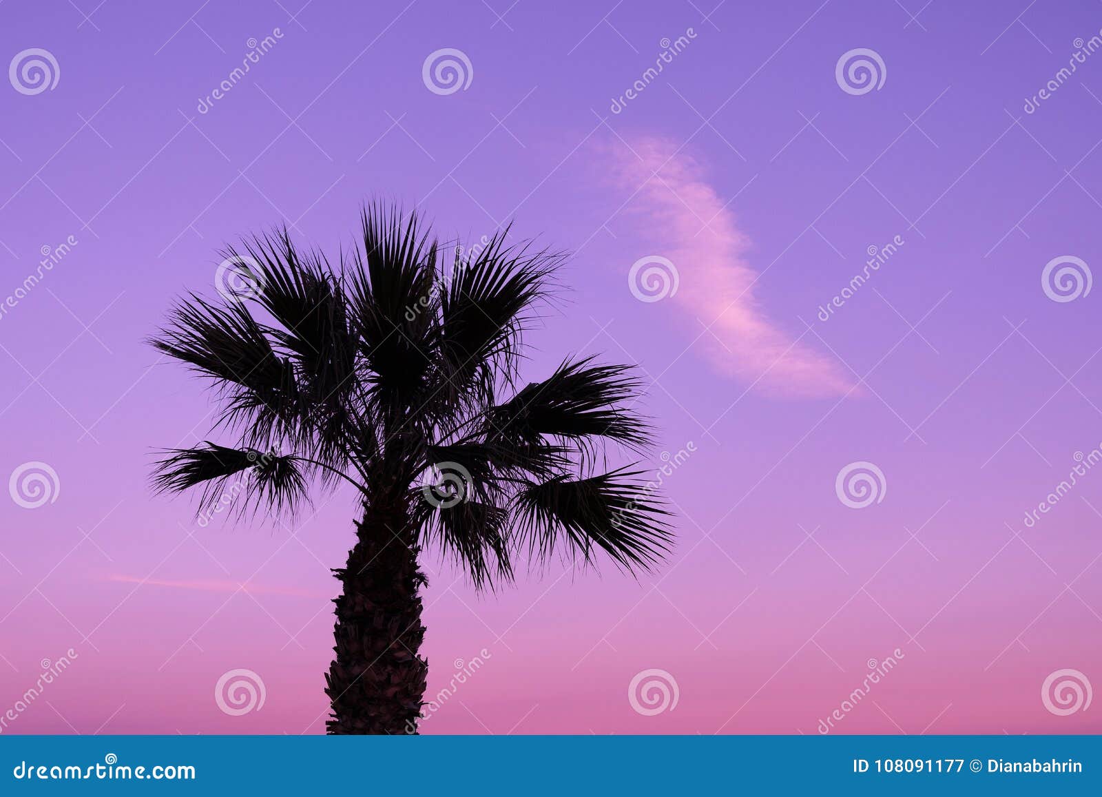 Palm Tree And Ultra Violet Sky Stock Image Image Of Outdoors Coconut