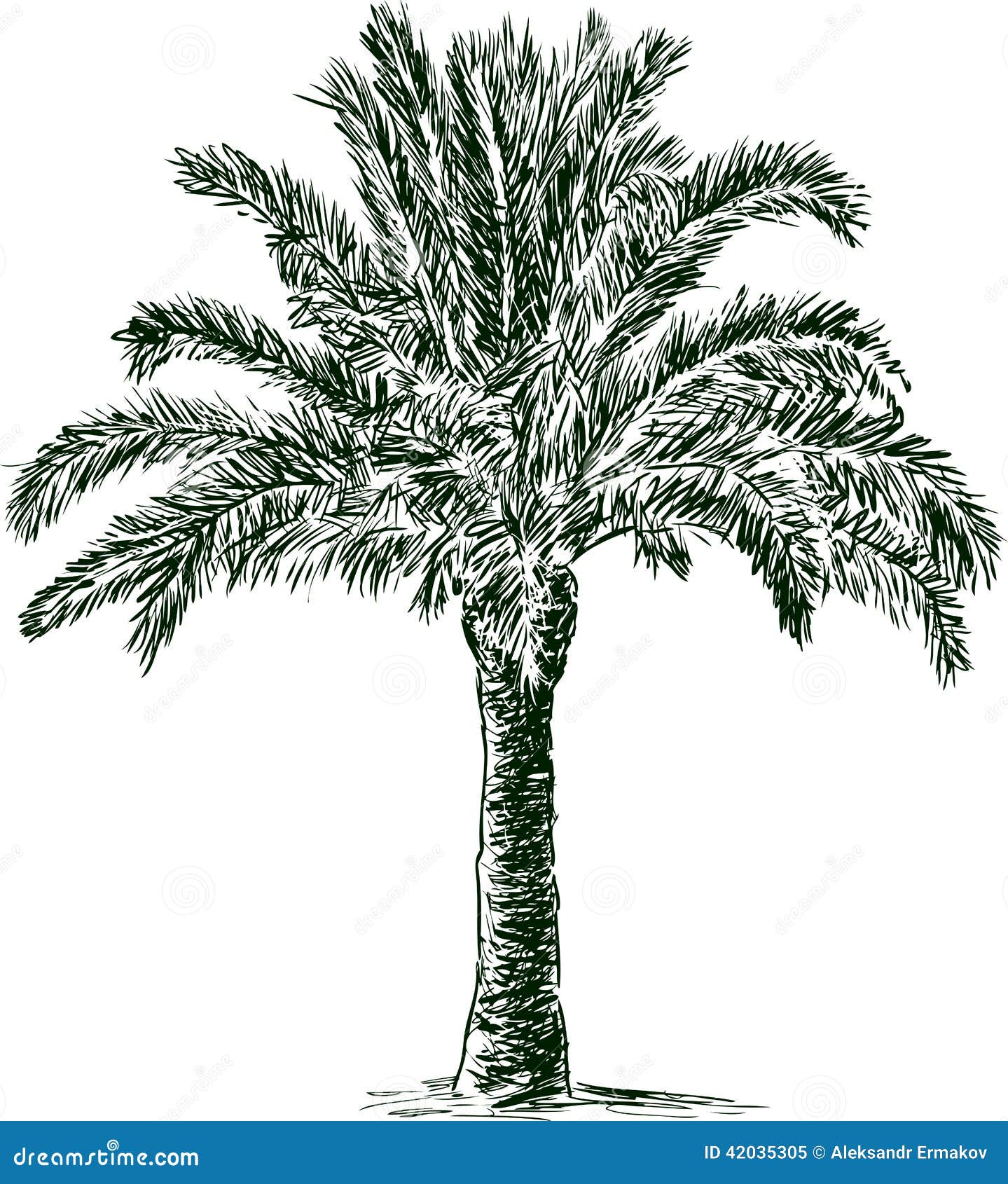 tree sketch clipart - photo #32