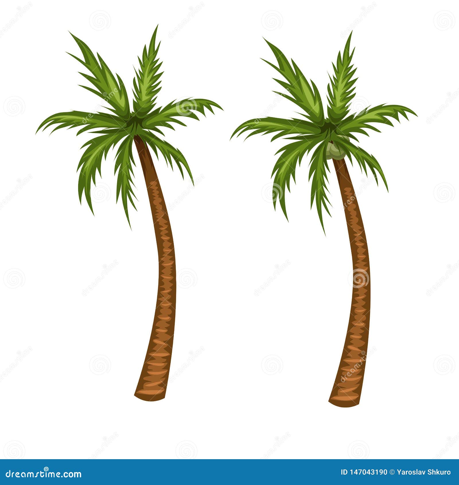 Palm Tree Vector Illustration. Coconut Tree Cartoon Picture Stock Vector -  Illustration of plant, sand: 147043190