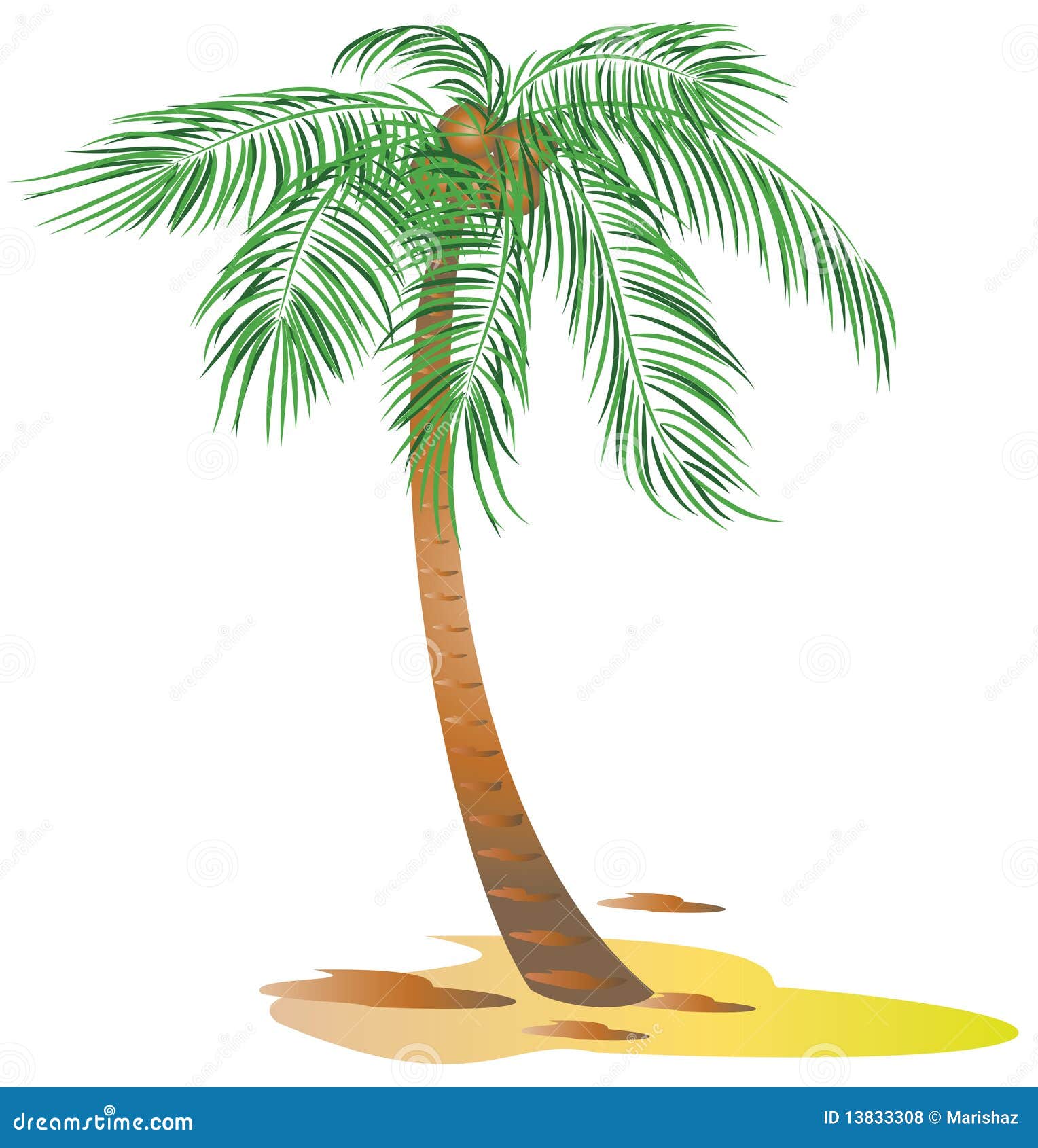 Palm trees stock vector. Illustration of warm, exotic - 13833308