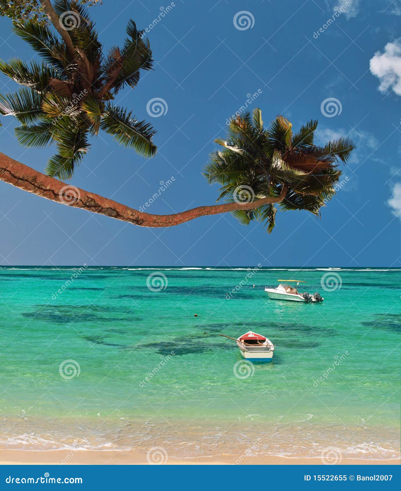 palm trees & boats of paradise lagoon .