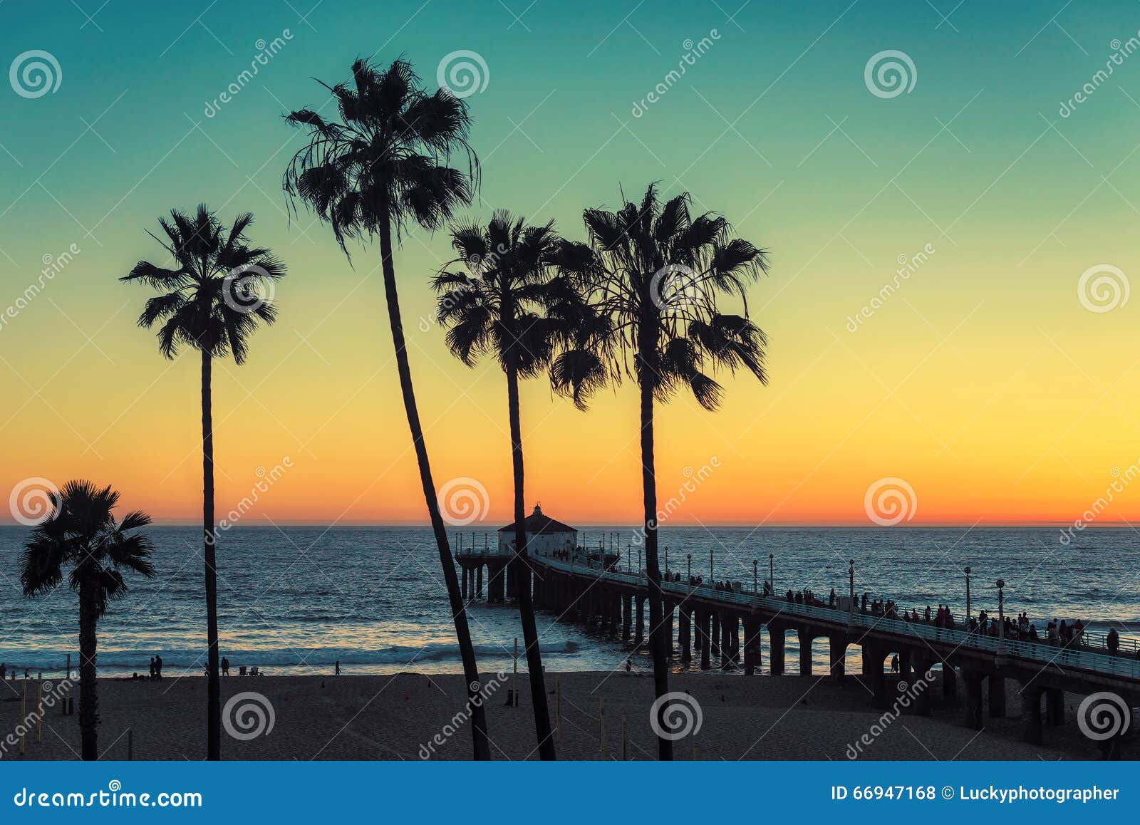 palm trees at california beach. vintage processed.