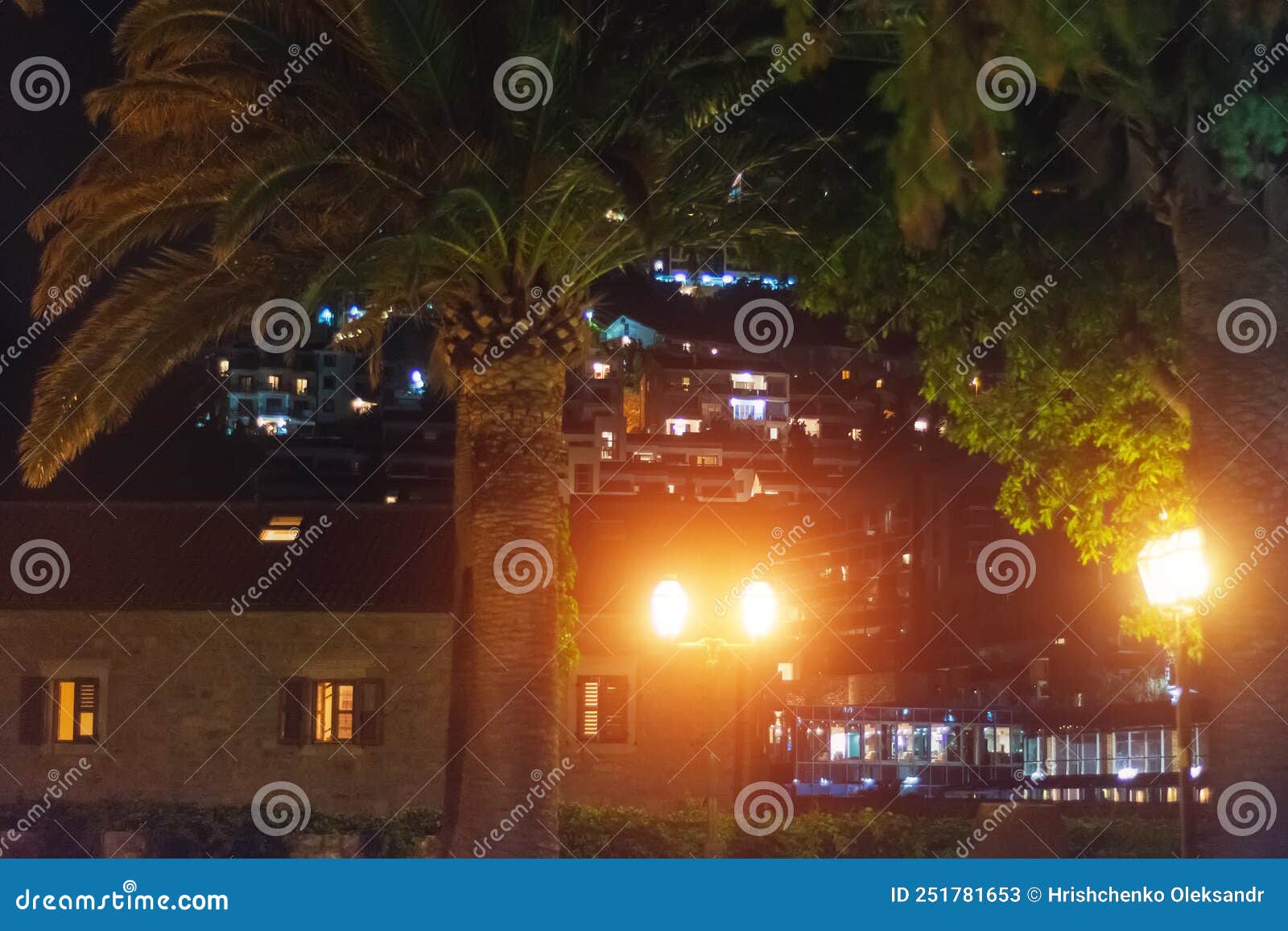 Palm Trees in the Evening City. Street Lit by Lanterns Stock Image