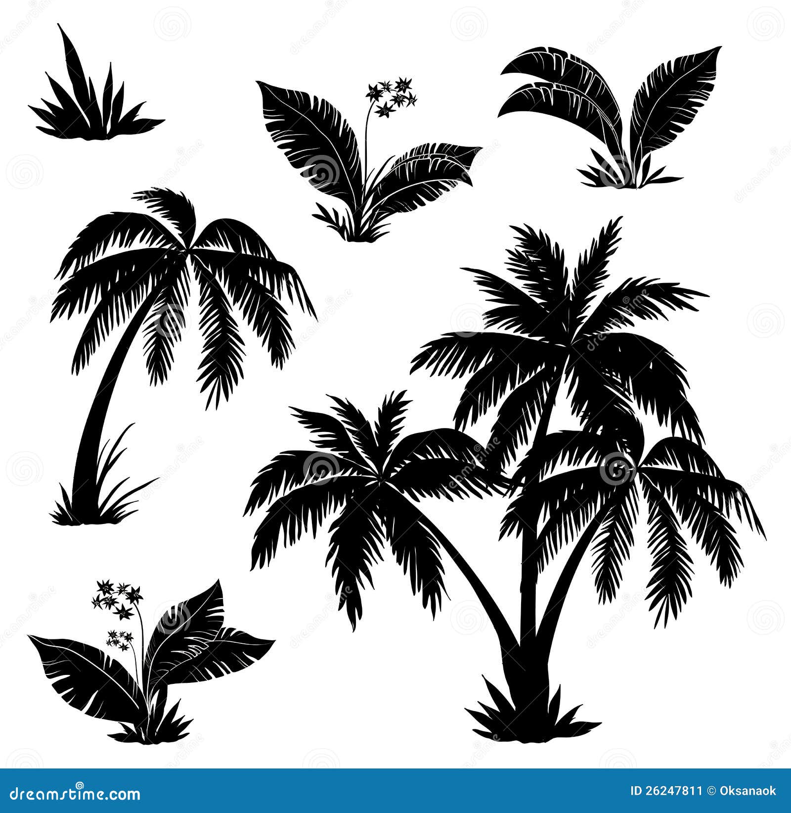 palm trees, flowers and grass, silhouettes