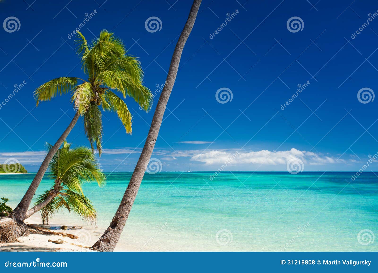 Palm Trees Hanging Over Tropical Beach Stock Photo - Image of tourism ...
