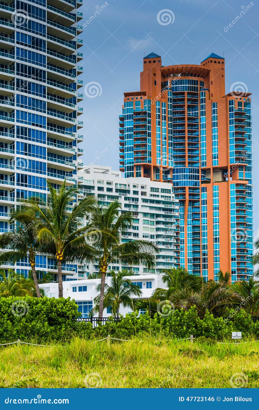 palm trees and highrises in south beach, miami, florida.