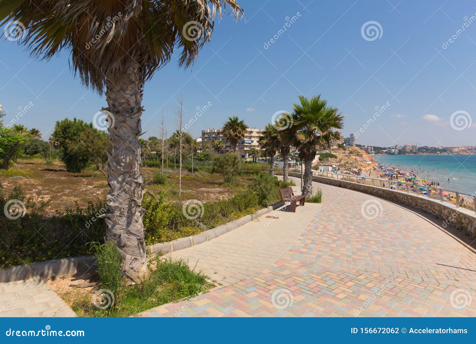 palm trees mil palmeras costa blanca spain on promenade paseo leading to the beach