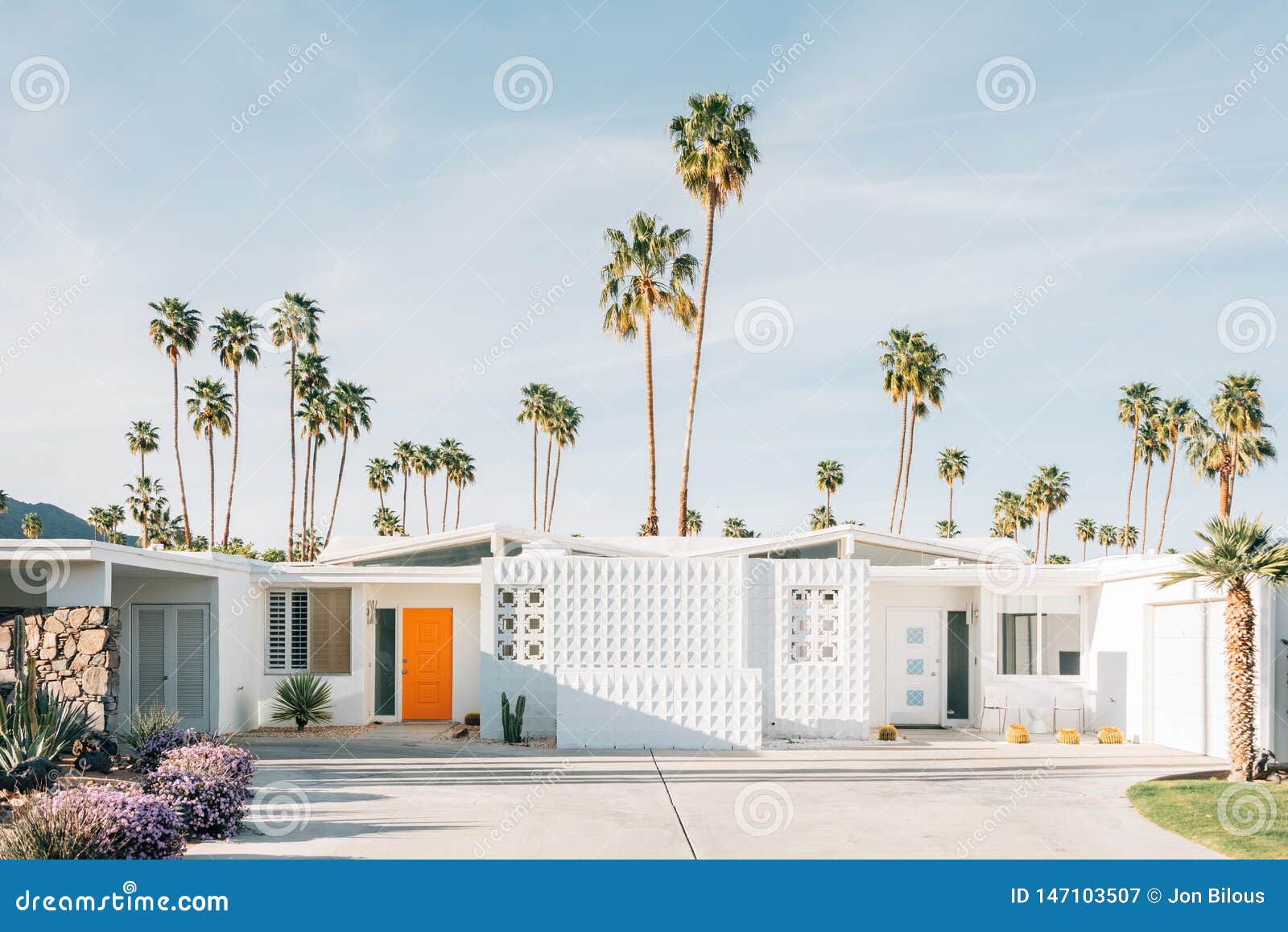 palm trees and modern house in palm springs, california