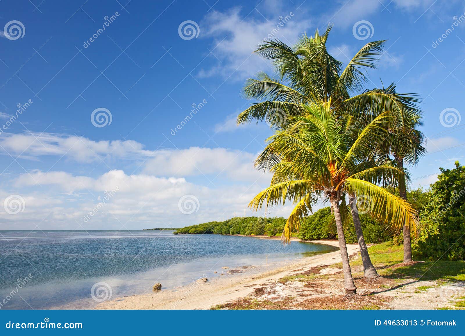 Palm Trees, Ocean And Blue Sky On A Tropical Beach Stock 