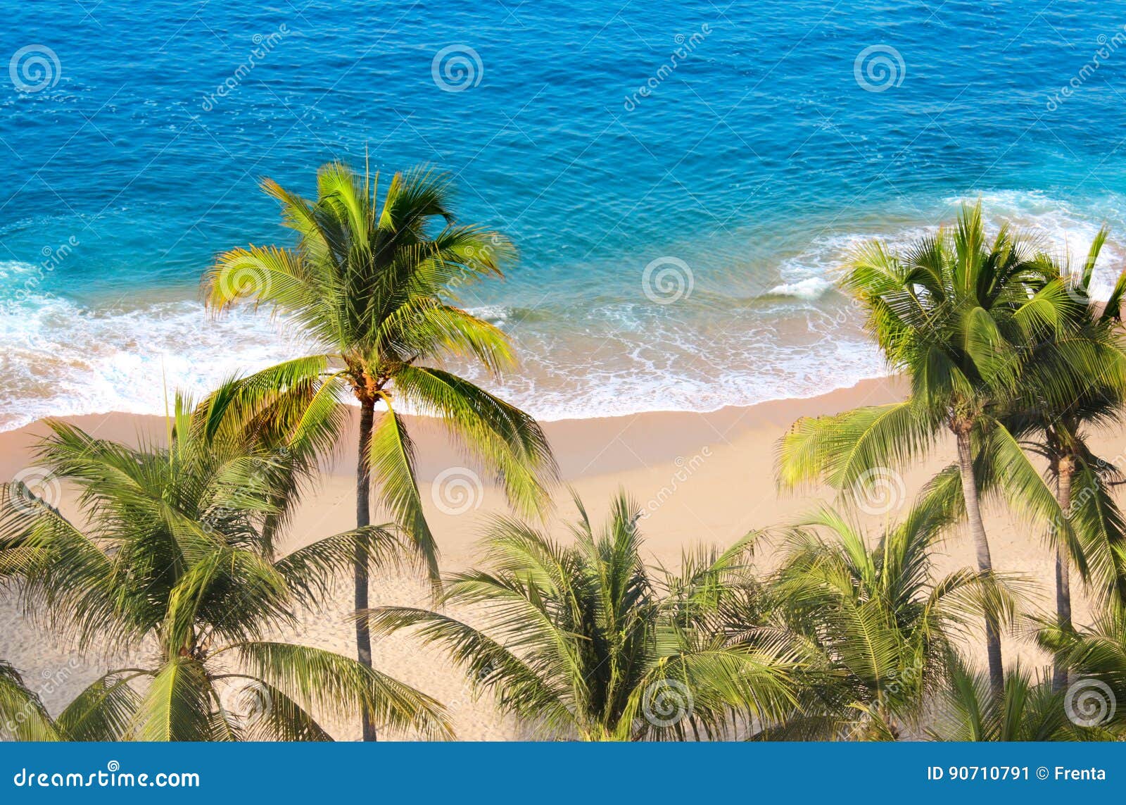 Palm Trees, Ocean Waves and Beach, Acapulco, Mexico Stock Image Image