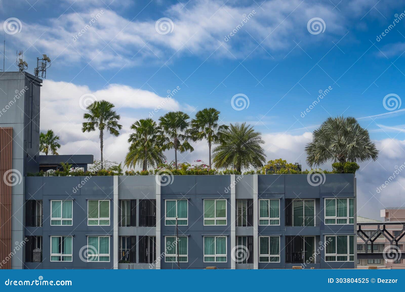 palm trees and other plants on the roof garden modern multistorey sunny building, inspired by urban architecture