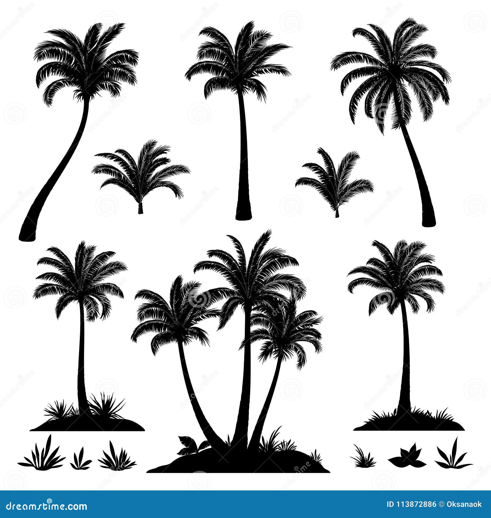 2200 Row Of Palm Trees Illustrations RoyaltyFree Vector Graphics  Clip  Art  iStock  Los angeles Palm trees beach Pacific coast highway