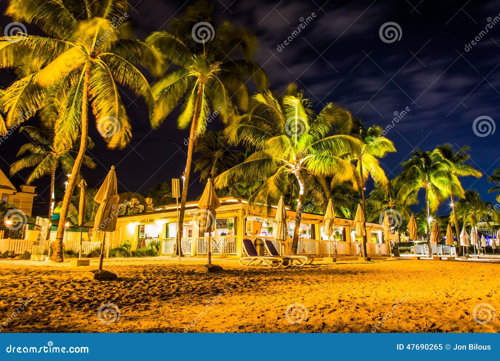 Palm Trees and Restaurant at Night at South Beach, in Key West