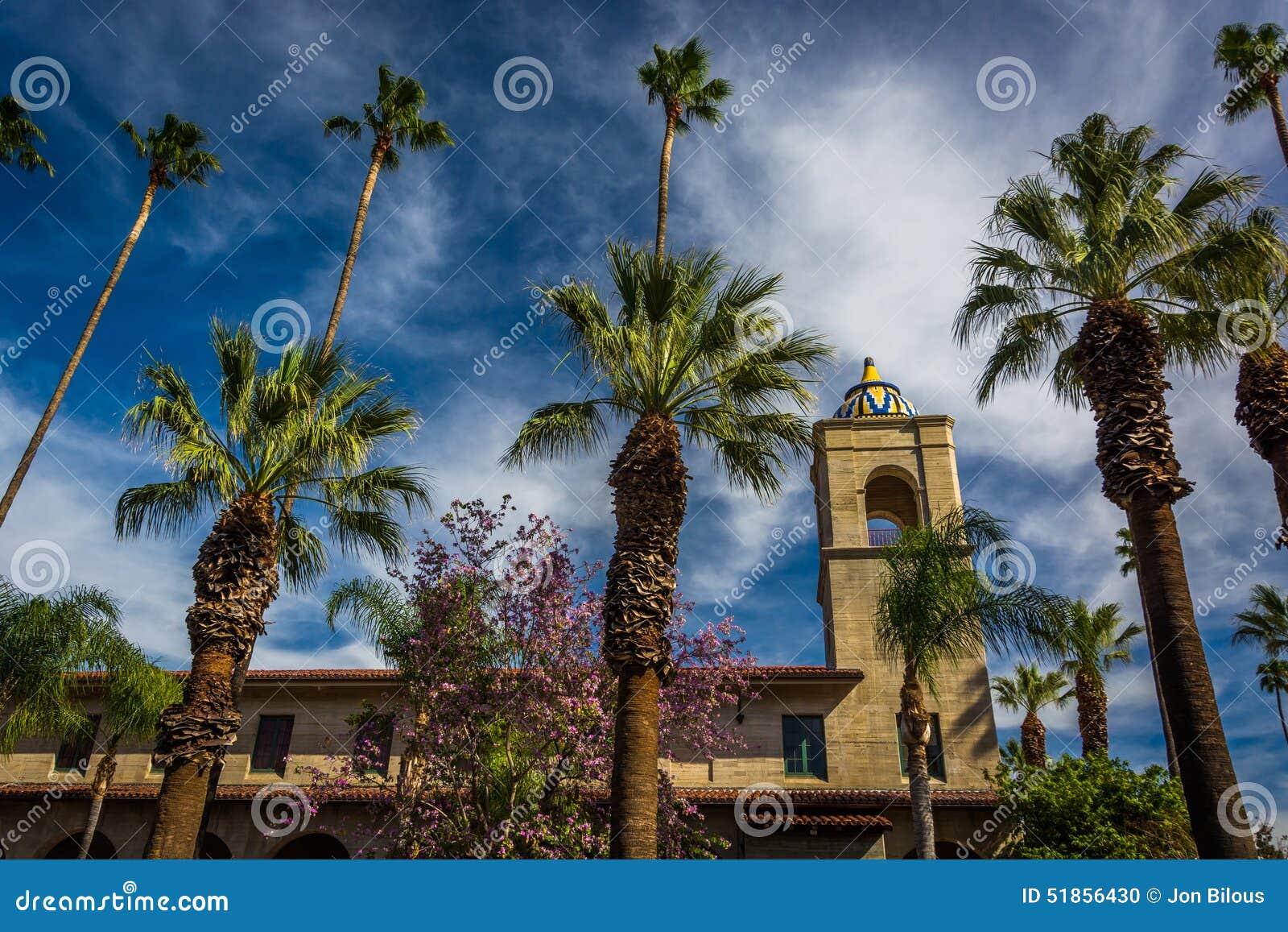 palm trees and the riverside municipal auditorium
