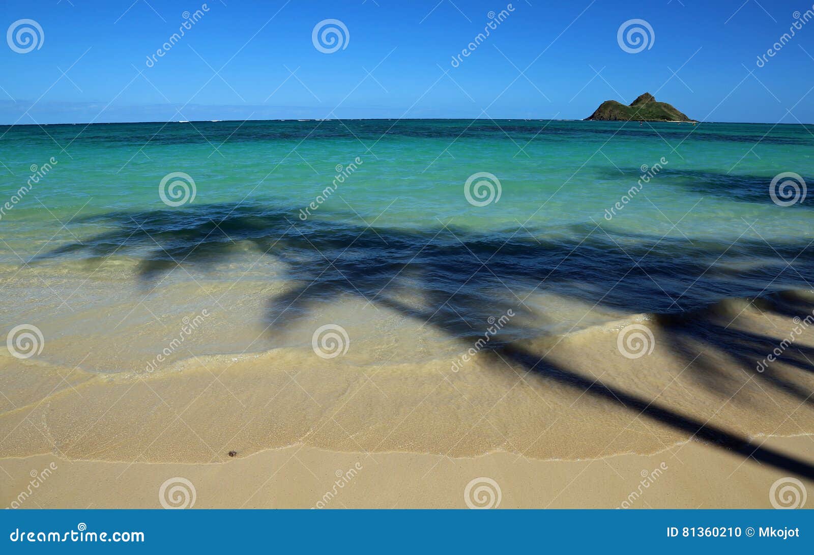 Palm Trees Shadow on Lanikai Beach Stock Photo Image of lanikai, palm