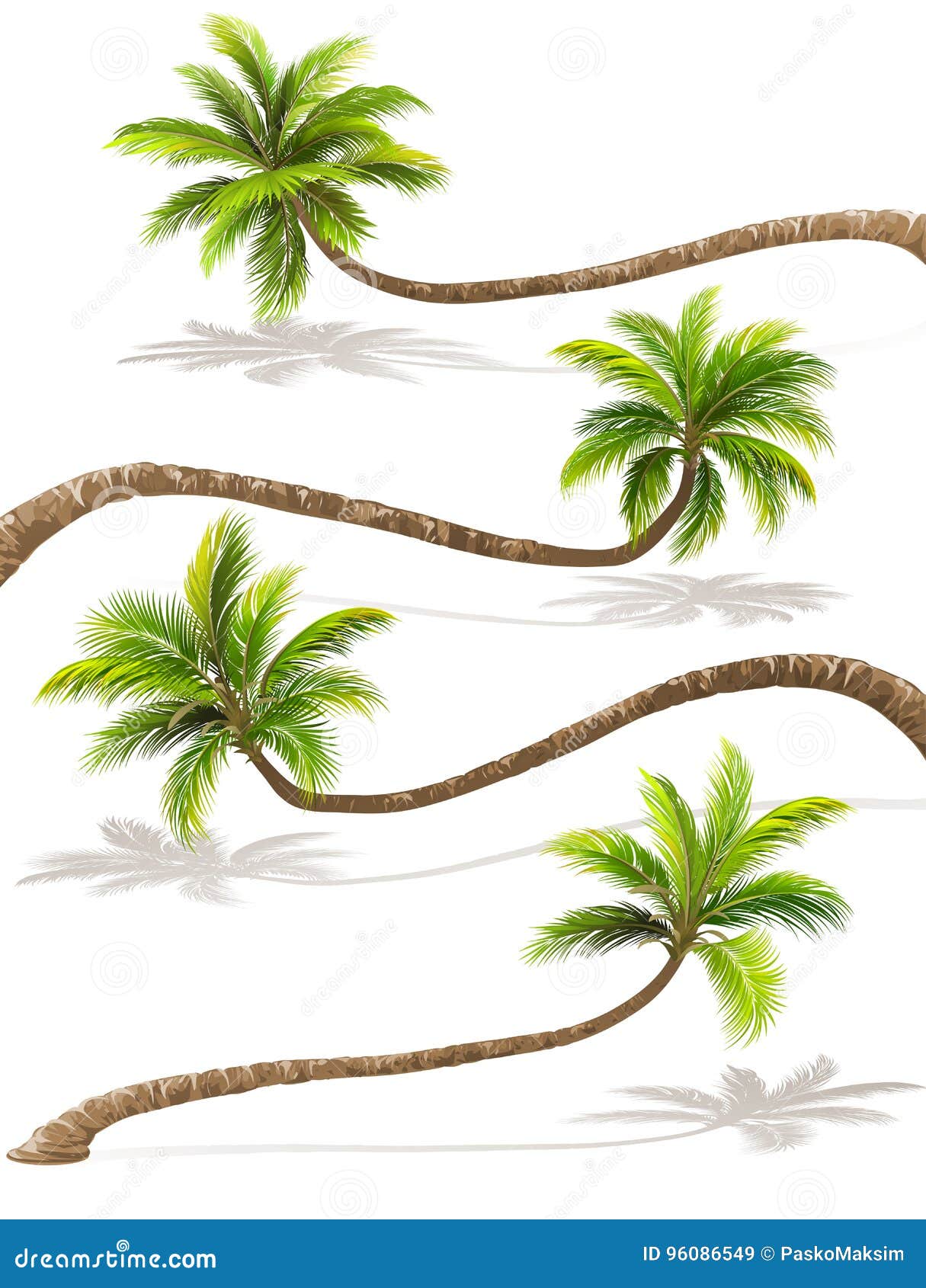 Palm Trees with Shadow. Vector Stock Vector Illustration of outdoors