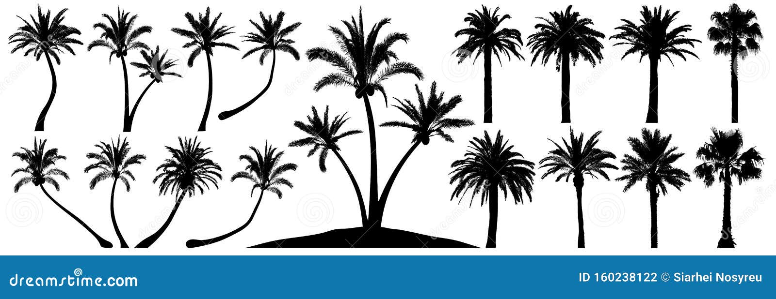 palm trees silhouette. coconut tree date palm.  set tropical trees
