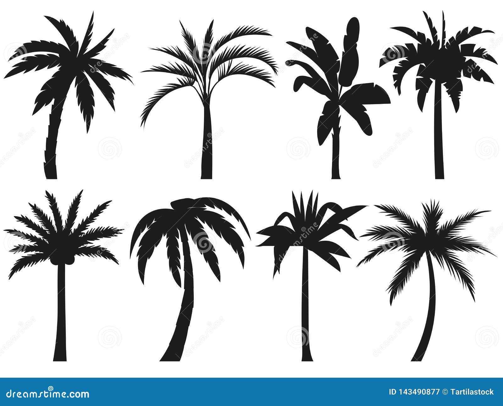 palm trees silhouettes. tropical leaves, retro palms tree and vintage silhouettes   set